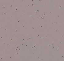 Линолеум Forbo Sphera Energetic 50219 dolphin фото 1 | FLOORDEALER